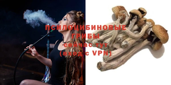 apvp Арсеньев