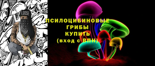 apvp Арсеньев